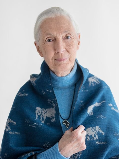 Portrait of Jane Goodall from the 200 Women exhibition, photography by Kieran E. Scott